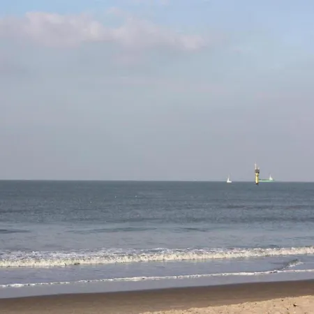 公寓 In Near The *