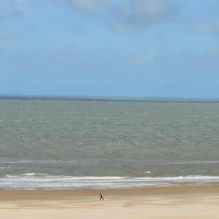 In Near The * Knokke-Heist