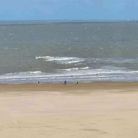Apartment In Near The Knokke-Heist