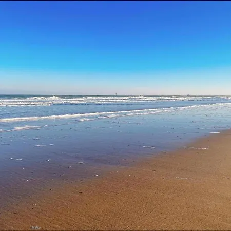 In Near The * 克诺克－海斯特