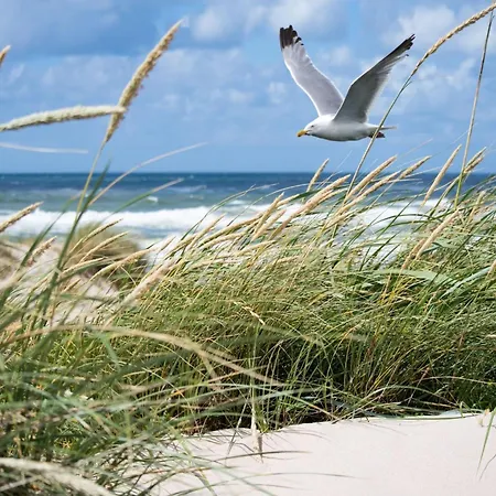 In Near The 公寓 *