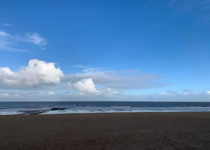 In Near The * Knokke-Heist