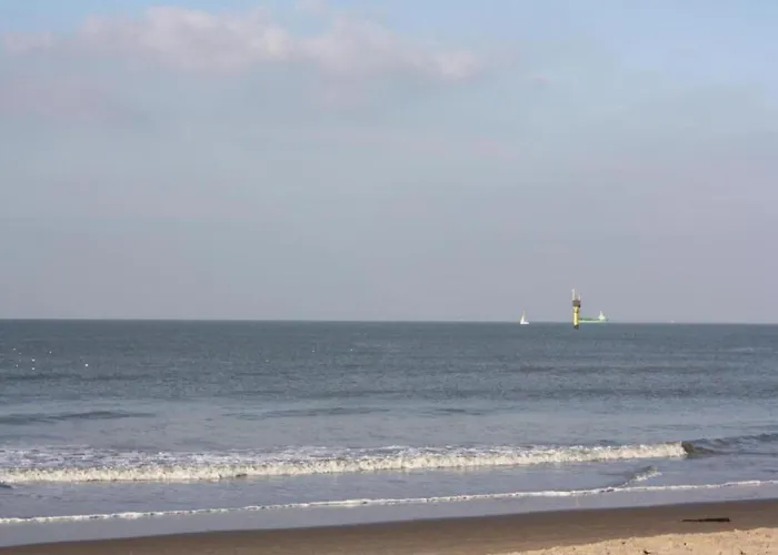 Lejlighed In Near The *