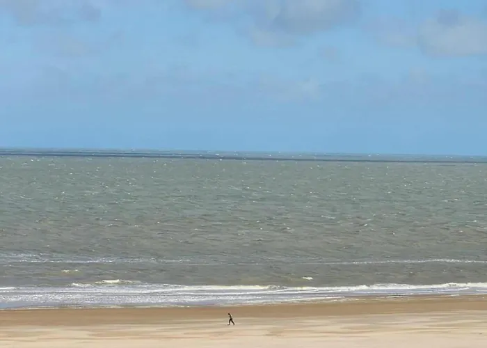 In Near The * Knokke-Heist