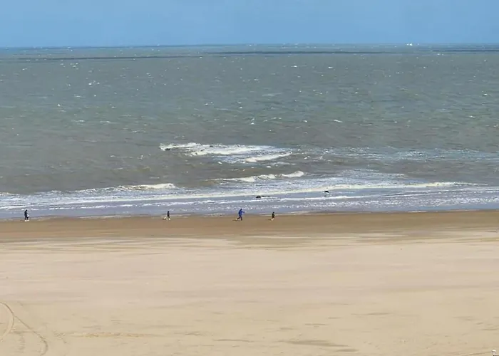 Lejlighed In Near The Knokke-Heist