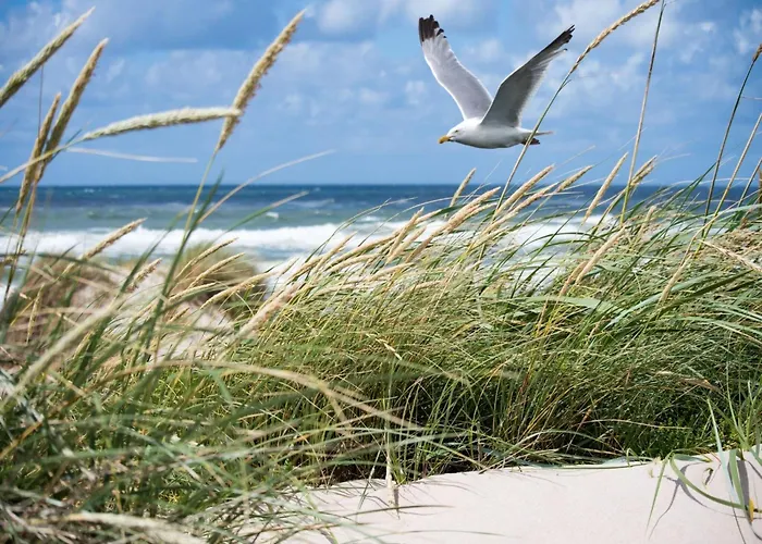 In Near The Lejlighed *